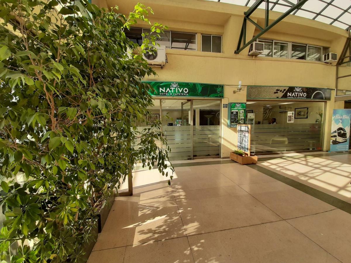تالكا Nativo Hotel Y Cafeteria المظهر الخارجي الصورة